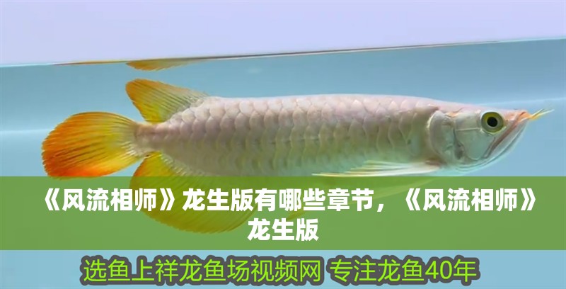 《風流相師》龍生版有哪些章節，《風流相師》龍生版