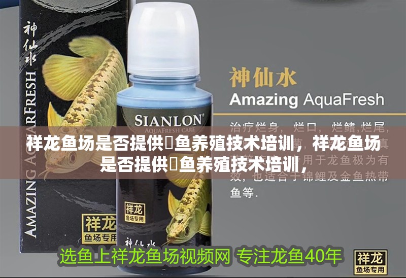 我的虎魚真菌感染了要怎么處理 祥龍魚場是否提供魟魚養殖技術培訓,祥龍魚場是否提供魟魚養殖技術培訓, 龍魚百科 祥龍魚場是否提供魟魚養殖技術培訓,祥龍魚場是否提供魟魚養殖技術培訓, 祥龍魚場是否提供魟魚養殖技術培訓,祥龍魚場是否提供魟魚養殖技術培訓, 龍魚百科