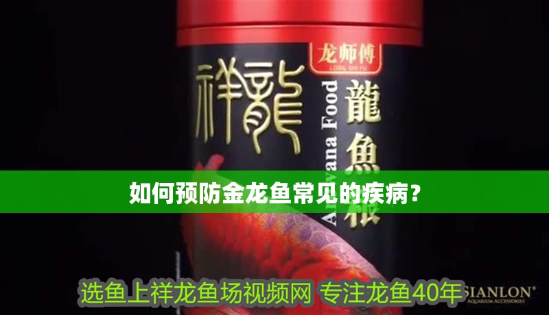 如何預防金龍魚常見的疾病？