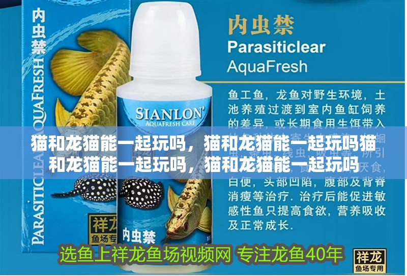 魚缸用增氧泵價格是多少:魚缸增氧機-xtrac增氧機-xtrac增氧機 貓和龍貓能一起玩嗎,貓和龍貓能一起玩嗎貓和龍貓能一起玩嗎,貓和龍貓能一起玩嗎 龍魚百科 貓和龍貓能一起玩嗎,貓和龍貓能一起玩嗎貓和龍貓能一起玩嗎,貓和龍貓能一起玩嗎 貓和龍貓能一起玩嗎,貓和龍貓能一起玩嗎貓和龍貓能一起玩嗎,貓和龍貓能一起玩嗎 龍魚百科