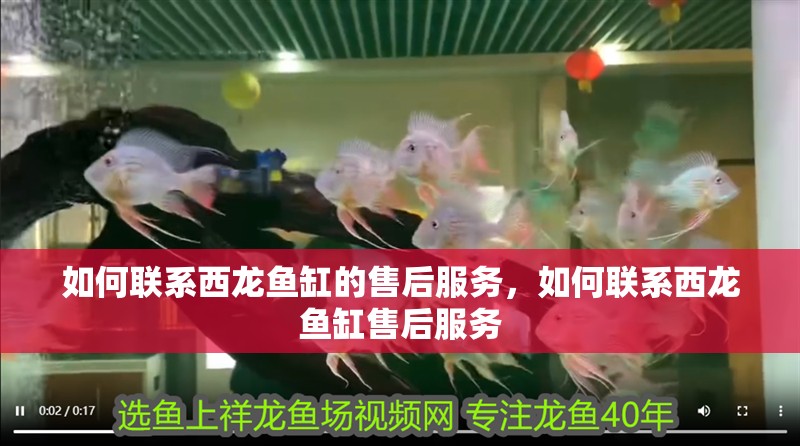 如何聯(lián)系西龍魚缸的售后服務，如何聯(lián)系西龍魚缸售后服務