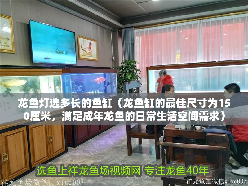 龍魚燈選多長的魚缸（龍魚缸的最佳尺寸為150厘米，滿足成年龍魚的日常生活空間需求）