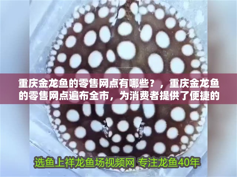 重慶金龍魚的零售網點有哪些？，重慶金龍魚的零售網點遍布全市，為消費者提供了便捷的購物體驗 重慶金龍魚的零售網點有哪些？，重慶金龍魚的零售網點遍布全市，為消費者提供了便捷的購物體驗 龍魚百科