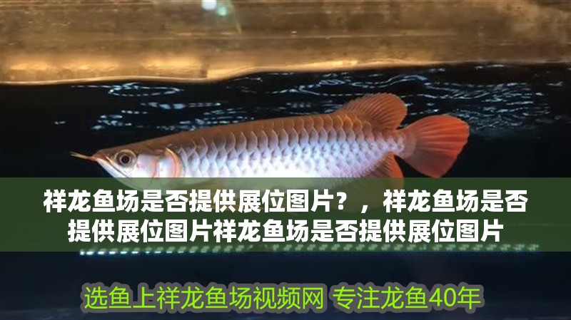 祥龍魚(yú)場(chǎng)是否提供展位圖片？，祥龍魚(yú)場(chǎng)是否提供展位圖片祥龍魚(yú)場(chǎng)是否提供展位圖片