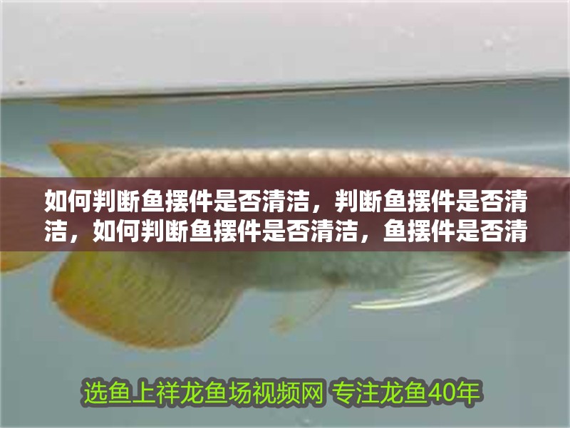 魚缸造景先放沙還是先放水(魚缸造景先鋪沙還是先放石頭) 如何判斷魚擺件是否清潔,判斷魚擺件是否清潔,如何判斷魚擺件是否清潔,魚擺件是否清潔 龍魚百科 如何判斷魚擺件是否清潔,判斷魚擺件是否清潔,如何判斷魚擺件是否清潔,魚擺件是否清潔 如何判斷魚擺件是否清潔,判斷魚擺件是否清潔,如何判斷魚擺件是否清潔,魚擺件是否清潔 龍魚百科