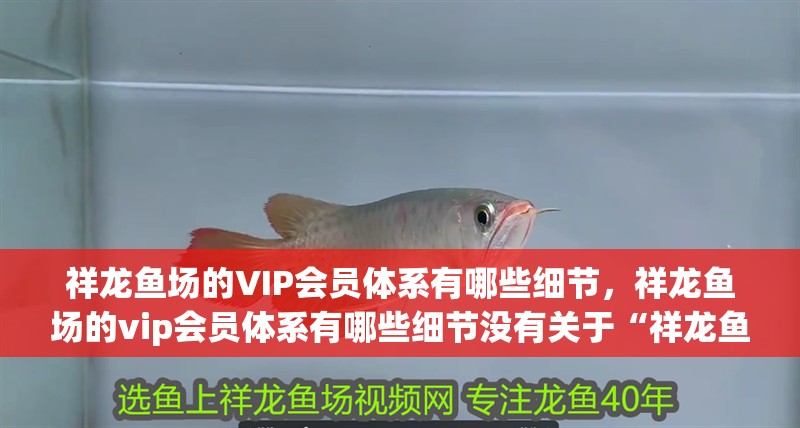 祥龍魚(yú)場(chǎng)的VIP會(huì)員體系有哪些細(xì)節(jié)，祥龍魚(yú)場(chǎng)的vip會(huì)員體系有哪些細(xì)節(jié)沒(méi)有關(guān)于“祥龍魚(yú)場(chǎng)”的公開(kāi)信息