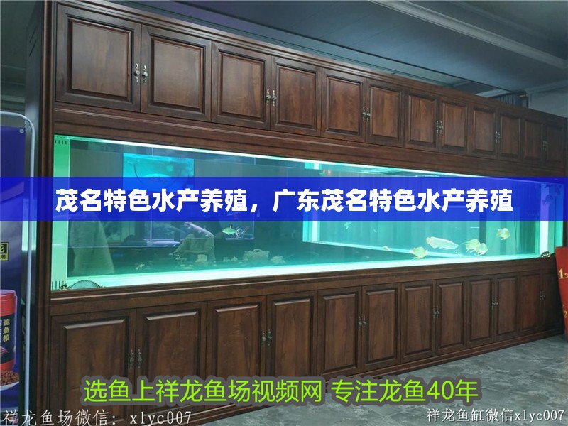 <strong><mark>茂名</mark></strong>特色水產養殖，廣東<strong><mark>茂名</mark></strong>特色水產養殖