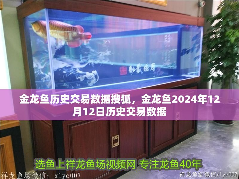 金龍魚歷史交易數據搜狐，金龍魚2024年12月12日歷史交易數據