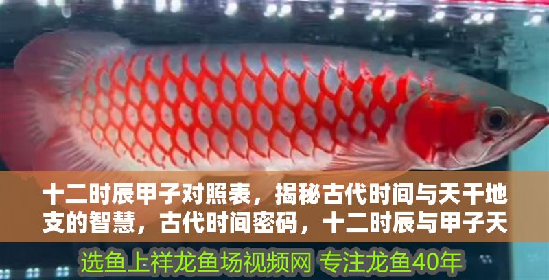 十二時(shí)辰甲子對(duì)照表，揭秘古代時(shí)間與天干地支的智慧，古代時(shí)間密碼，十二時(shí)辰與甲子天干地支對(duì)照全解析