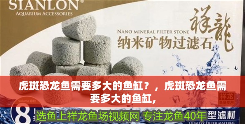 虎斑恐龍魚需要多大的魚缸？，虎斑恐龍魚需要多大的魚缸,
