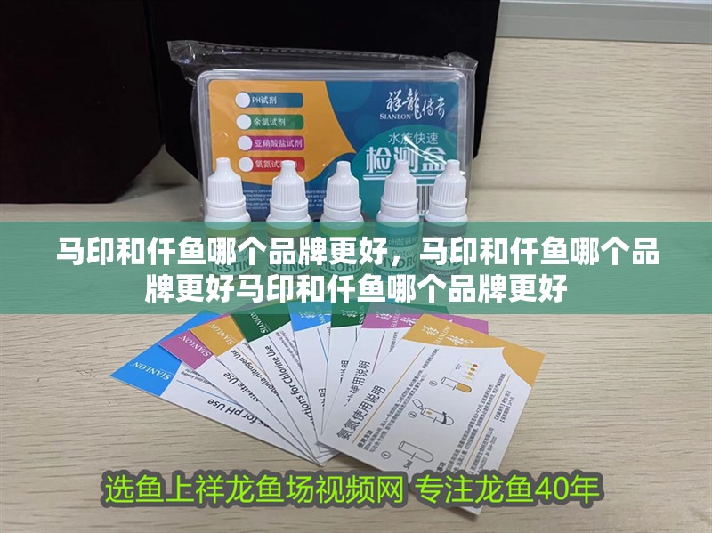 馬印和仟魚哪個品牌更好，馬印和仟魚哪個品牌更好馬印和仟魚哪個品牌更好