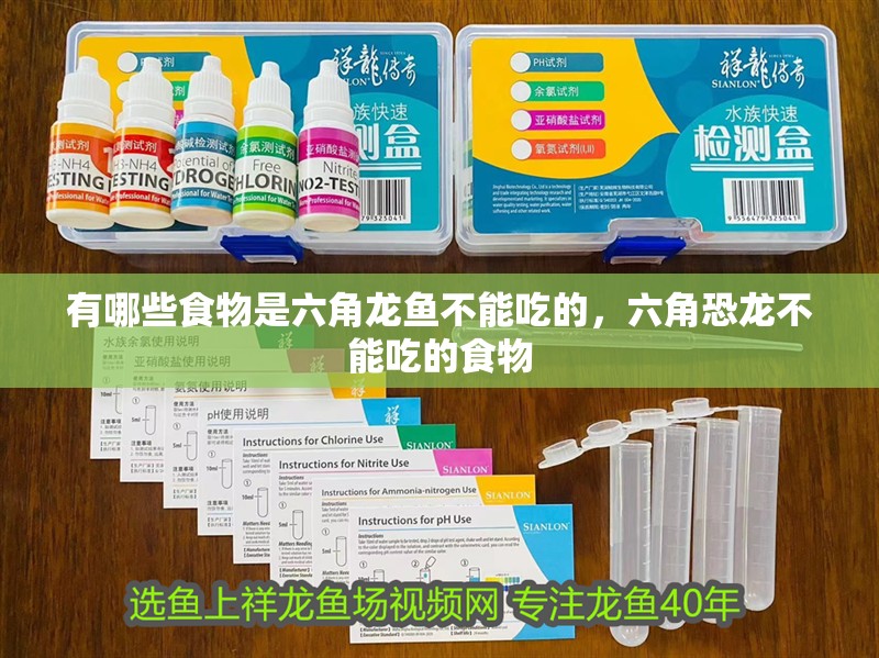 有哪些食物是六角龍魚不能吃的，六角恐龍不能吃的食物