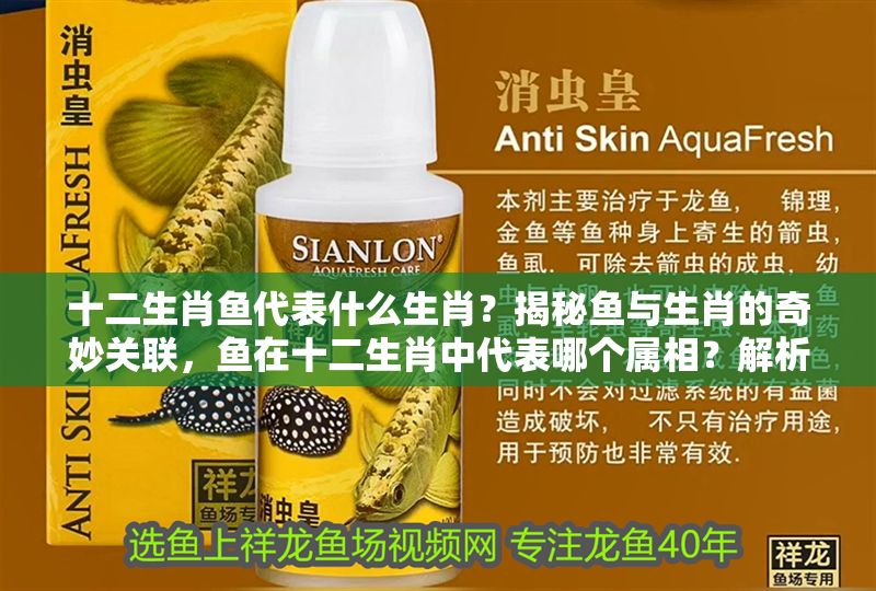 十二生肖魚代表什么生肖？揭秘魚與生肖的奇妙關聯，魚在十二生肖中代表哪個屬相？解析魚與生肖的象征聯系