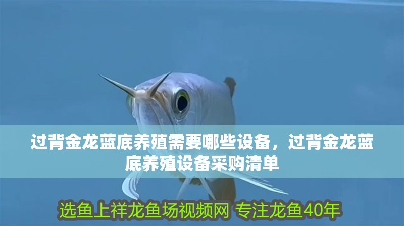 過背金龍藍底養(yǎng)殖需要哪些設(shè)備，過背金龍藍底養(yǎng)殖設(shè)備采購清單