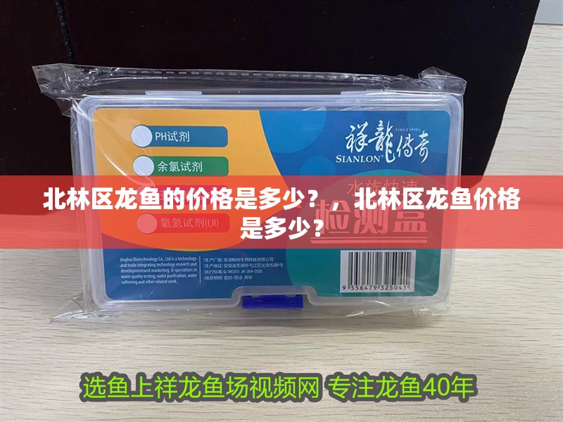 北林區(qū)龍魚的價格是多少？，北林區(qū)龍魚價格是多少？ 北林區(qū)龍魚的價格是多少？，北林區(qū)龍魚價格是多少？ 龍魚百科