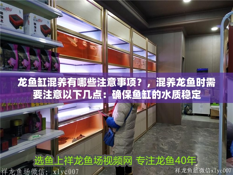 龍魚缸混養(yǎng)有哪些注意事項(xiàng)？，混養(yǎng)龍魚時(shí)需要注意以下幾點(diǎn)：確保魚缸的水質(zhì)穩(wěn)定 龍魚缸混養(yǎng)有哪些注意事項(xiàng)？，混養(yǎng)龍魚時(shí)需要注意以下幾點(diǎn)：確保魚缸的水質(zhì)穩(wěn)定 龍魚百科