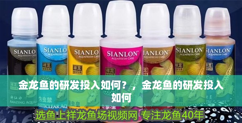 金龍魚的研發(fā)投入如何？，金龍魚的研發(fā)投入如何