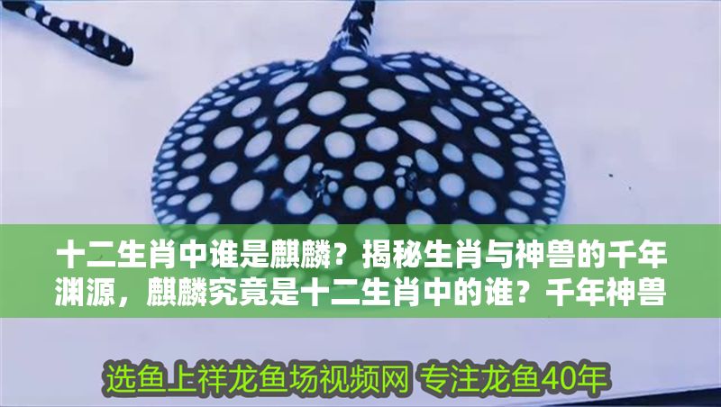 十二生肖中誰是麒麟？揭秘生肖與神獸的千年淵源，麒麟究竟是十二生肖中的誰？千年神獸與生肖之謎大揭秘