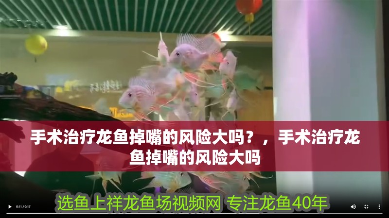 手術治療龍魚掉嘴的風險大嗎？，手術治療龍魚掉嘴的風險大嗎