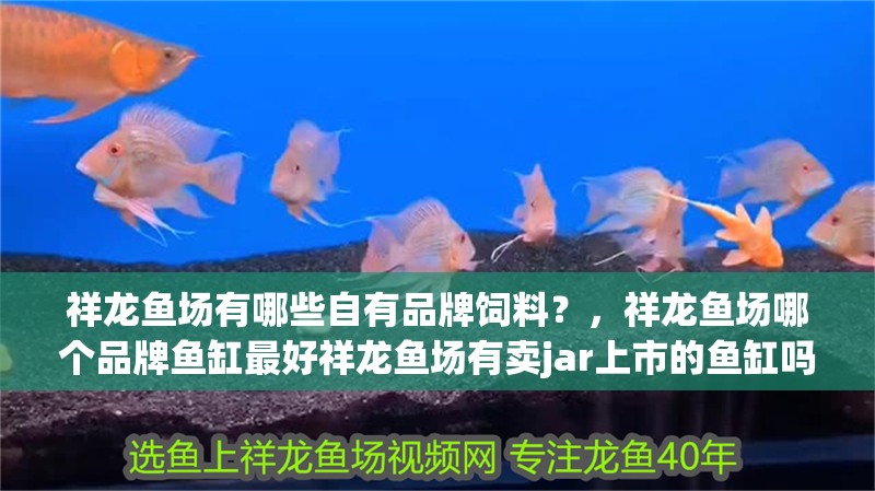 祥龍魚場有哪些自有品牌飼料？，祥龍魚場哪個品牌魚缸最好祥龍魚場有賣jar上市的魚缸嗎