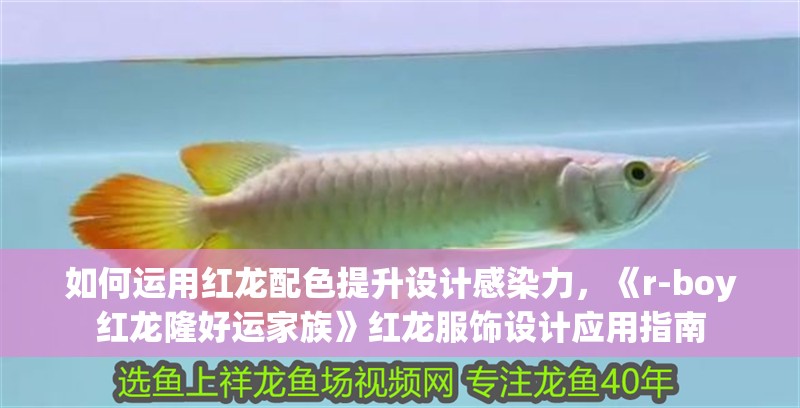 如何運用紅龍配色提升設計感染力，《r-boy紅龍隆好運家族》紅龍服飾設計應用指南