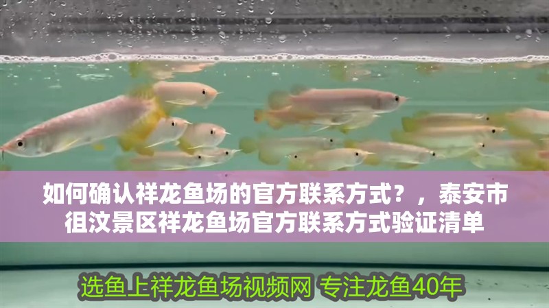 魚缸用增氧泵價格是多少:魚缸增氧機-xtrac增氧機-xtrac增氧機 如何確認祥龍魚場的官方聯系方式?,泰安市徂汶景區祥龍魚場官方聯系方式驗證清單 龍魚百科 如何確認祥龍魚場的官方聯系方式?,泰安市徂汶景區祥龍魚場官方聯系方式驗證清單 如何確認祥龍魚場的官方聯系方式?,泰安市徂汶景區祥龍魚場官方聯系方式驗證清單 龍魚百科