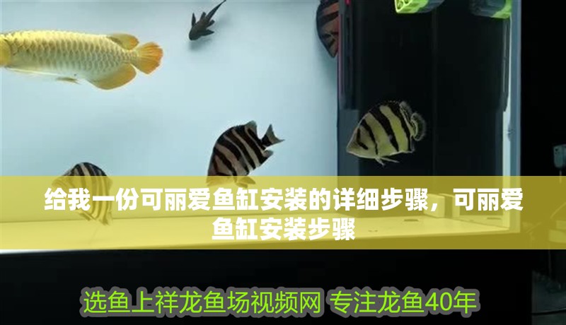 給我一份可麗愛魚缸安裝的詳細步驟，可麗愛魚缸安裝步驟
