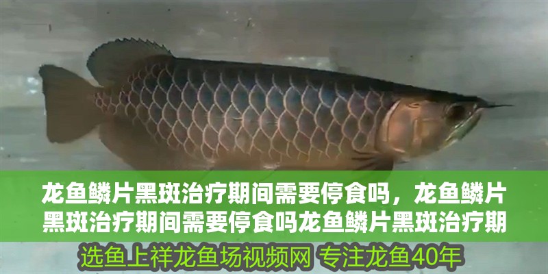 龍魚鱗片黑斑治療期間需要停食嗎，龍魚鱗片黑斑治療期間需要停食嗎龍魚鱗片黑斑治療期間需要停食嗎