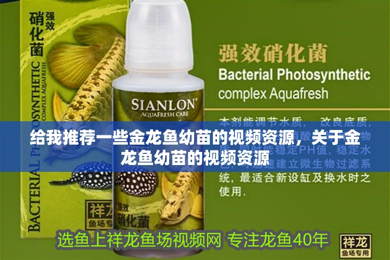 給我推薦一些金龍魚幼苗的視頻資源，關于金龍魚幼苗的視頻資源
