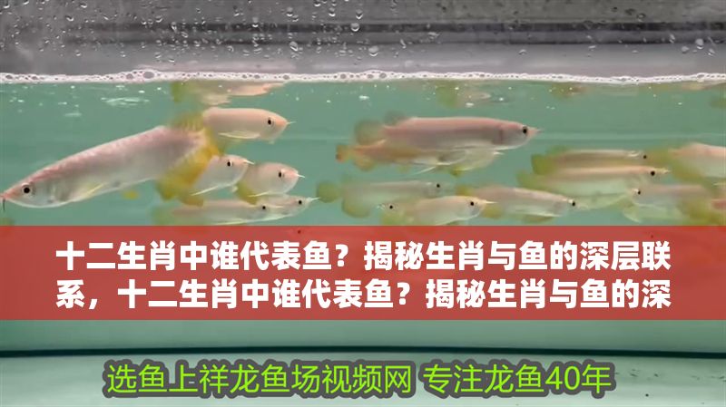 十二生肖中誰代表魚？揭秘生肖與魚的深層聯系，十二生肖中誰代表魚？揭秘生肖與魚的深層聯系