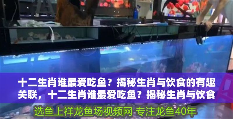 十二生肖誰最愛吃魚?揭秘生肖與飲食的有趣關聯,十二生肖誰最愛吃魚?揭秘生肖與飲食的趣味關聯 龍魚百科 第1張 十二生肖誰最愛吃魚?揭秘生肖與飲食的有趣關聯,十二生肖誰最愛吃魚?揭秘生肖與飲食的趣味關聯 十二生肖誰最愛吃魚?揭秘生肖與飲食的有趣關聯,十二生肖誰最愛吃魚?揭秘生肖與飲食的趣味關聯 龍魚百科 第1張