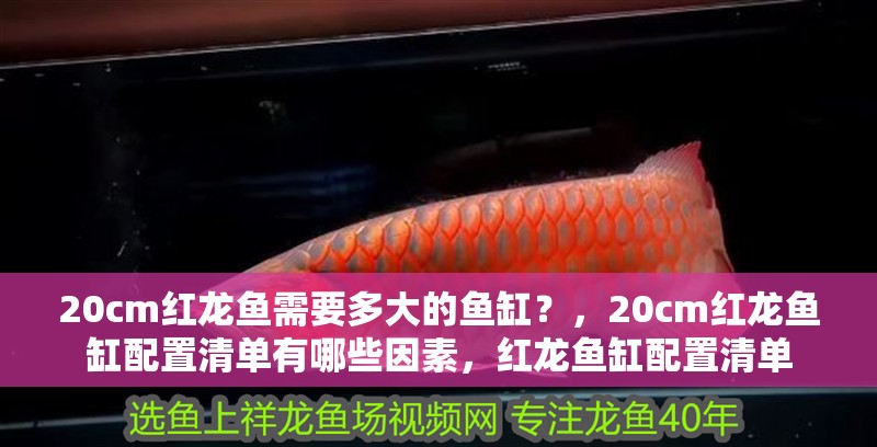 魚缸用增氧泵價(jià)格是多少:魚缸增氧機(jī)-xtrac增氧機(jī)-xtrac增氧機(jī) 20cm紅龍魚需要多大的魚缸?,20cm紅龍魚缸配置清單有哪些因素,紅龍魚缸配置清單 龍魚百科 20cm紅龍魚需要多大的魚缸?,20cm紅龍魚缸配置清單有哪些因素,紅龍魚缸配置清單 20cm紅龍魚需要多大的魚缸?,20cm紅龍魚缸配置清單有哪些因素,紅龍魚缸配置清單 龍魚百科