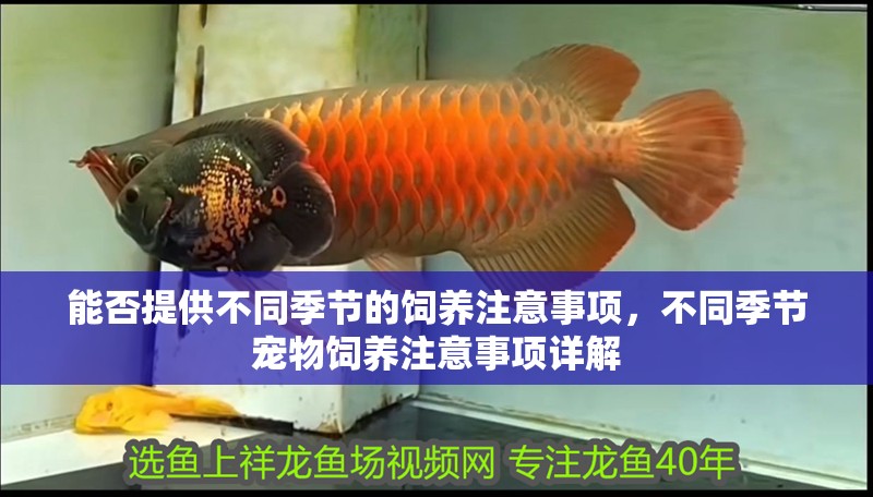 能否提供不同季節(jié)的飼養(yǎng)注意事項(xiàng)，不同季節(jié)寵物飼養(yǎng)注意事項(xiàng)詳解