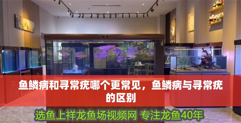 魚鱗病和尋常疣哪個(gè)更常見，魚鱗病與尋常疣的區(qū)別