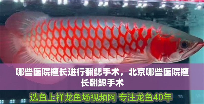 哪些醫(yī)院擅長進行翻鰓手術，<strong><mark>北京</mark></strong>哪些醫(yī)院擅長翻鰓手術