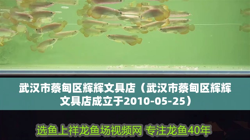 武漢市蔡甸區輝輝文具店（武漢市蔡甸區輝輝文具店成立于2010-05-25） 武漢市蔡甸區輝輝文具店（武漢市蔡甸區輝輝文具店成立于2010-05-25） 全國水族館企業名錄