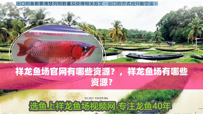 祥龍魚場官網有哪些資源？，祥龍魚場有哪些資源？
