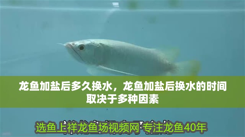 龍魚加鹽后多久換水，龍魚加鹽后換水的時間取決于多種因素