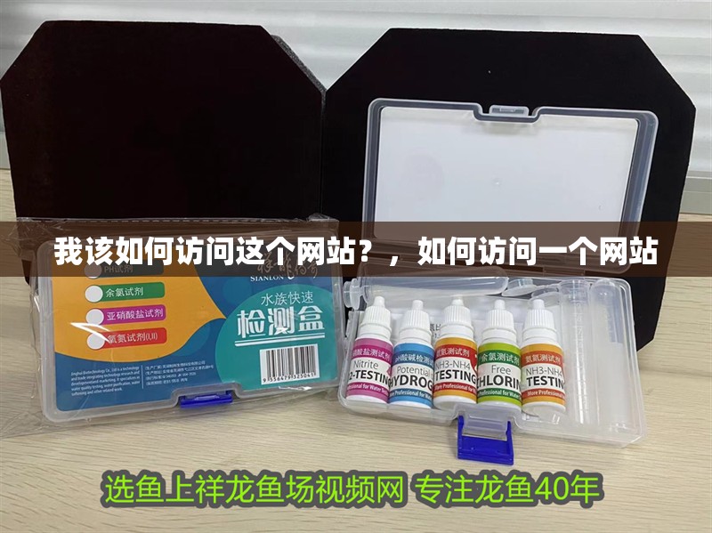 龍魚干蝦有營養嗎 我該如何訪問這個網站?,如何訪問一個網站 龍魚百科 我該如何訪問這個網站?,如何訪問一個網站 我該如何訪問這個網站?,如何訪問一個網站 龍魚百科