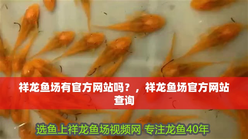 祥龍魚場有官方網(wǎng)站嗎？，祥龍魚場官方網(wǎng)站查詢 祥龍魚場有官方網(wǎng)站嗎？，祥龍魚場官方網(wǎng)站查詢 龍魚百科