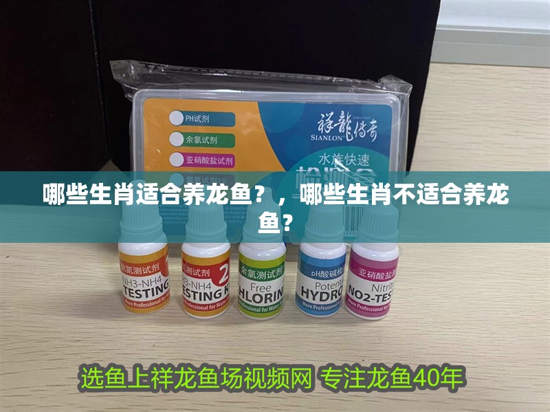 哪些生肖適合養龍魚？，哪些生肖不適合養龍魚？ 哪些生肖適合養龍魚？，哪些生肖不適合養龍魚？ 龍魚百科