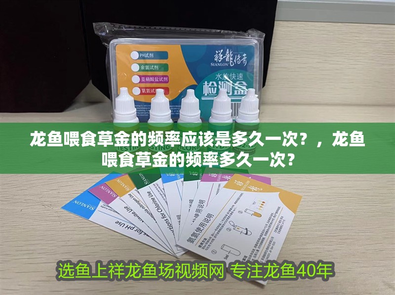 龍魚干蝦有營(yíng)養(yǎng)嗎 龍魚喂食草金的頻率應(yīng)該是多久一次?,龍魚喂食草金的頻率多久一次? 龍魚百科 龍魚喂食草金的頻率應(yīng)該是多久一次?,龍魚喂食草金的頻率多久一次? 龍魚喂食草金的頻率應(yīng)該是多久一次?,龍魚喂食草金的頻率多久一次? 龍魚百科