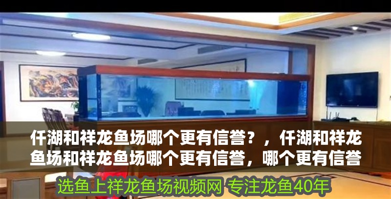 給大魚缸換水的作文:體驗給大魚缸換水的樂趣:體驗給大魚缸換水:給大魚缸換水的作文 仟湖和祥龍魚場哪個更有信譽?,仟湖和祥龍魚場和祥龍魚場哪個更有信譽,哪個更有信譽 龍魚百科 仟湖和祥龍魚場哪個更有信譽?,仟湖和祥龍魚場和祥龍魚場哪個更有信譽,哪個更有信譽 仟湖和祥龍魚場哪個更有信譽?,仟湖和祥龍魚場和祥龍魚場哪個更有信譽,哪個更有信譽 龍魚百科