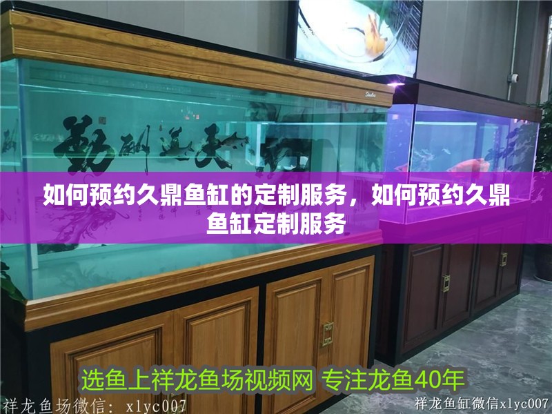 如何預約久鼎魚缸的定制服務，如何預約久鼎魚缸定制服務