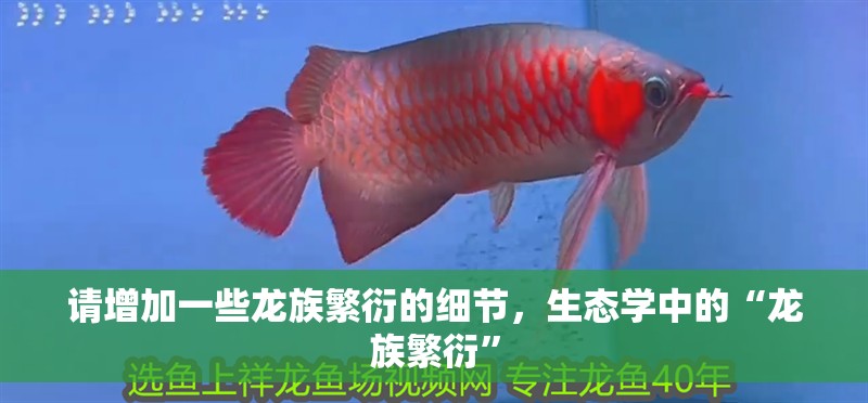 請增加一些龍族繁衍的細節，生態學中的“龍族繁衍”
