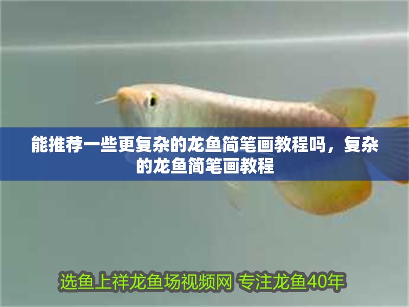 能推薦一些更復雜的龍魚簡筆畫教程嗎，復雜的龍魚簡筆畫教程