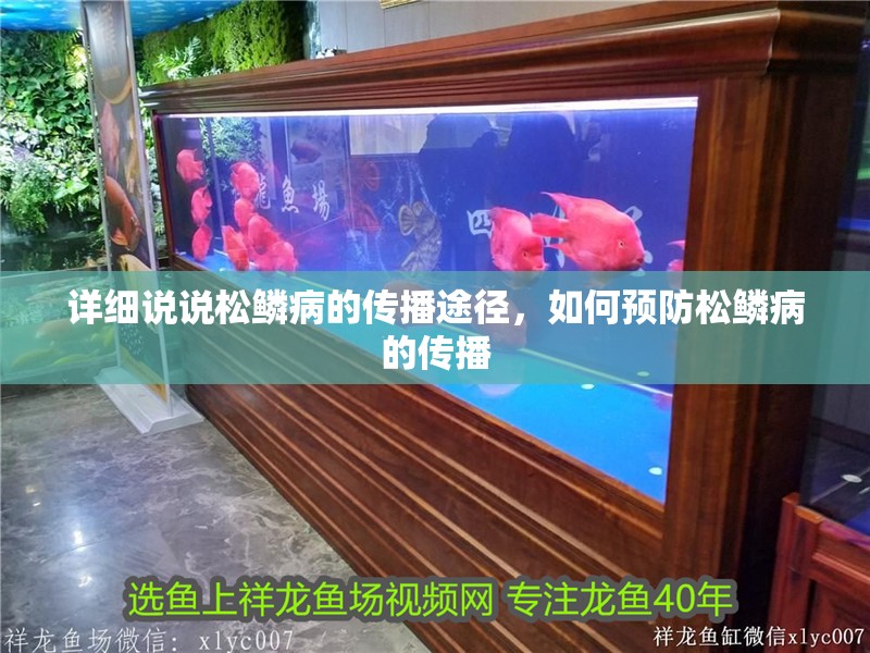 詳細說說松鱗病的傳播途徑，如何預防松鱗病的傳播