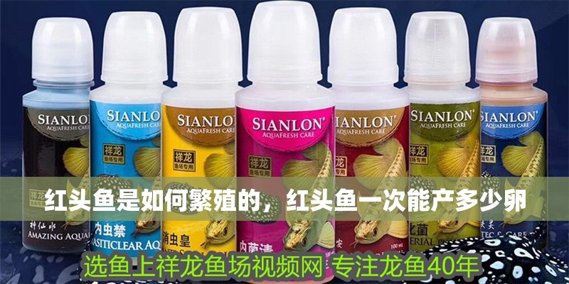 紅頭魚是如何繁殖的，紅頭魚一次能產多少卵