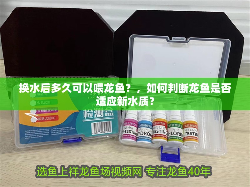 換水后多久可以喂龍魚？，如何判斷龍魚是否適應新水質？