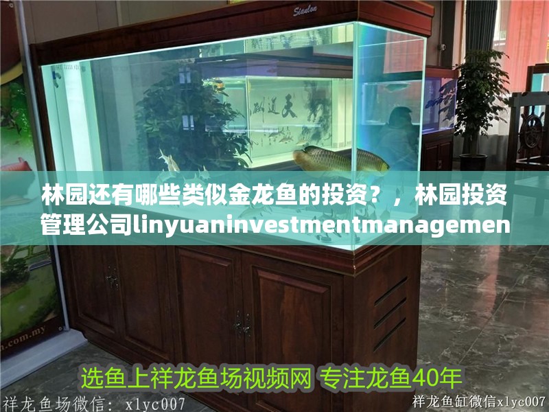 林園還有哪些類似金龍魚的投資？，林園投資管理公司linyuaninvestmentmanagement